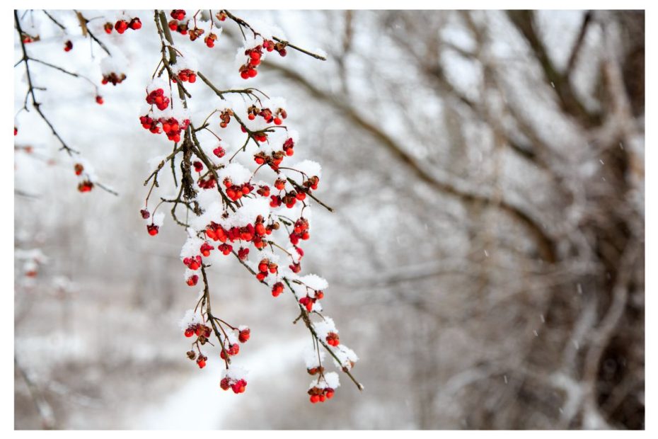 winter body care dry skin